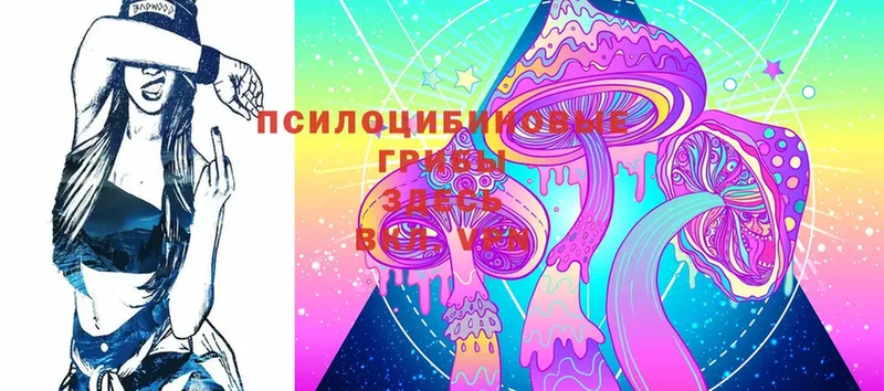 Галлюциногенные грибы MAGIC MUSHROOMS  Любань 